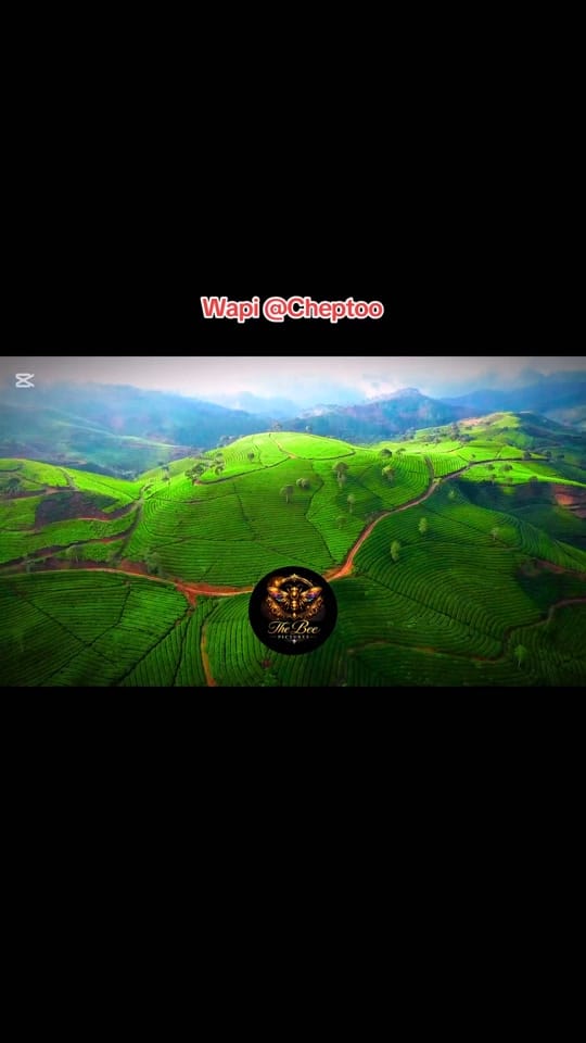 Post 4 by © DIR_ SAPINNE JOASH on TikTok (video)