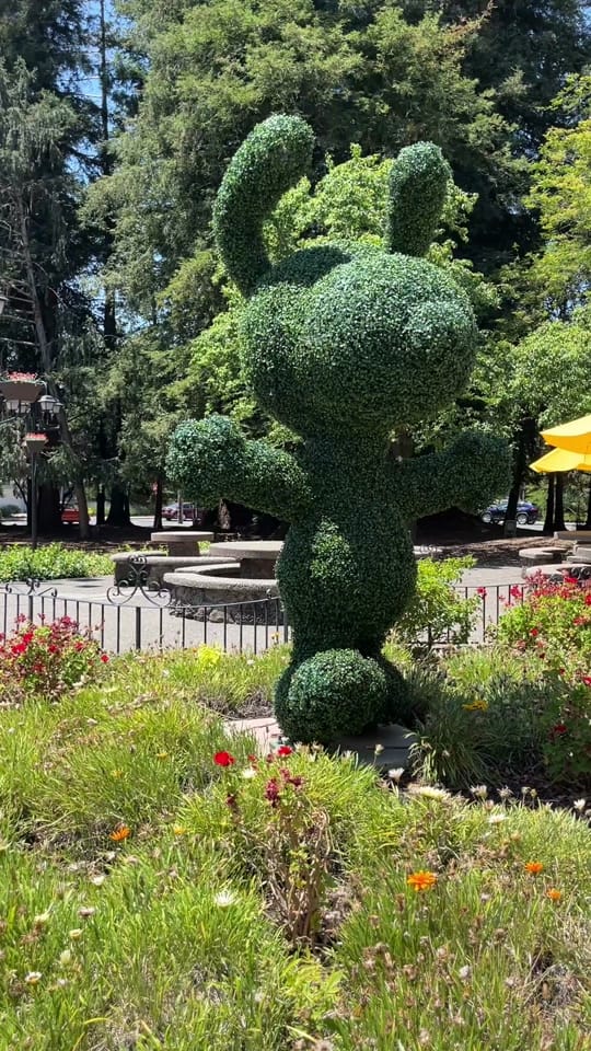 Post 3 by Arielle 🌺 on TikTok (video)