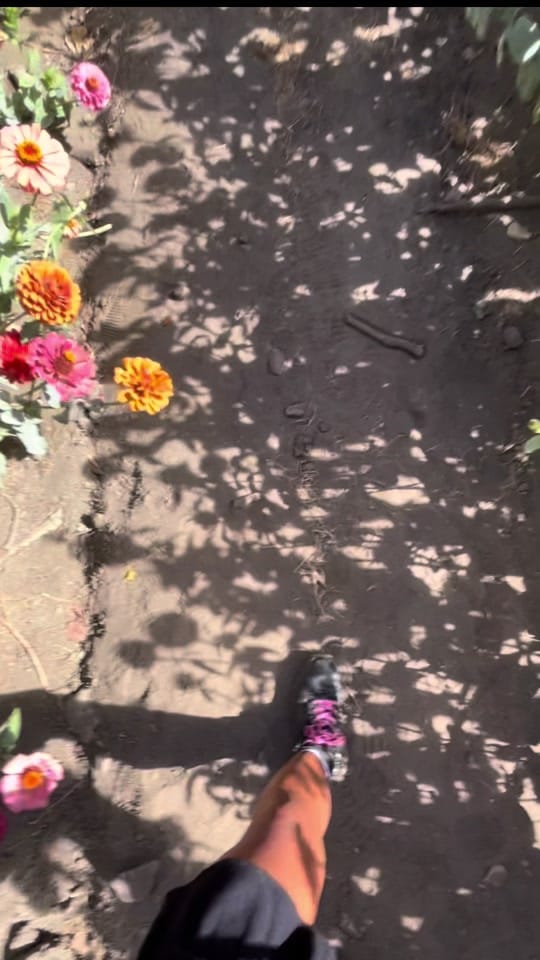 Post 6 by Arielle 🌺 on TikTok (video)