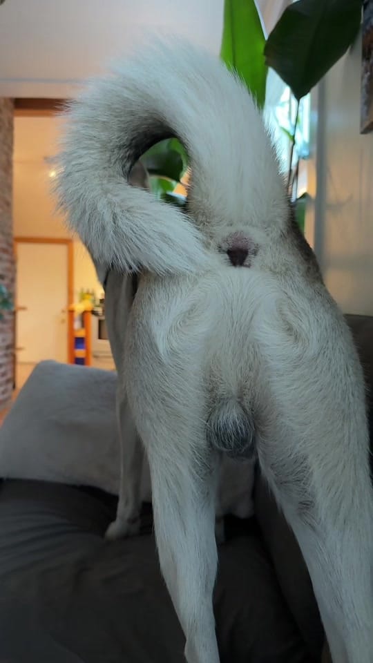 Post 3 by Chelsea Weisgerber on TikTok (video)