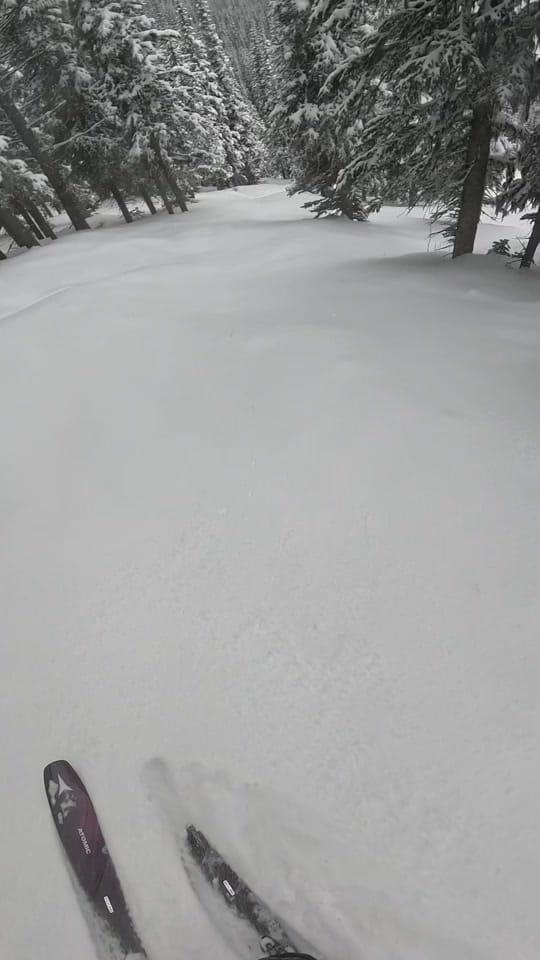 Post 6 by Chelsea Weisgerber on TikTok (video)