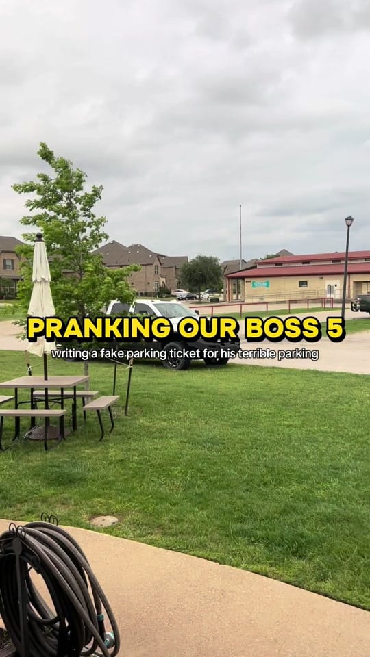 Post 5 by Animal Imaging on TikTok (video)