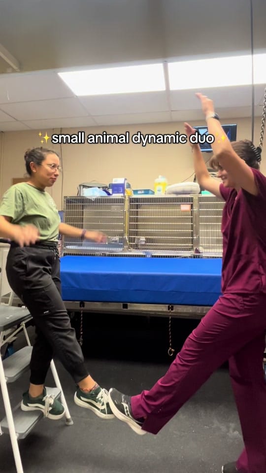 Post 4 by Animal Imaging on TikTok (video)