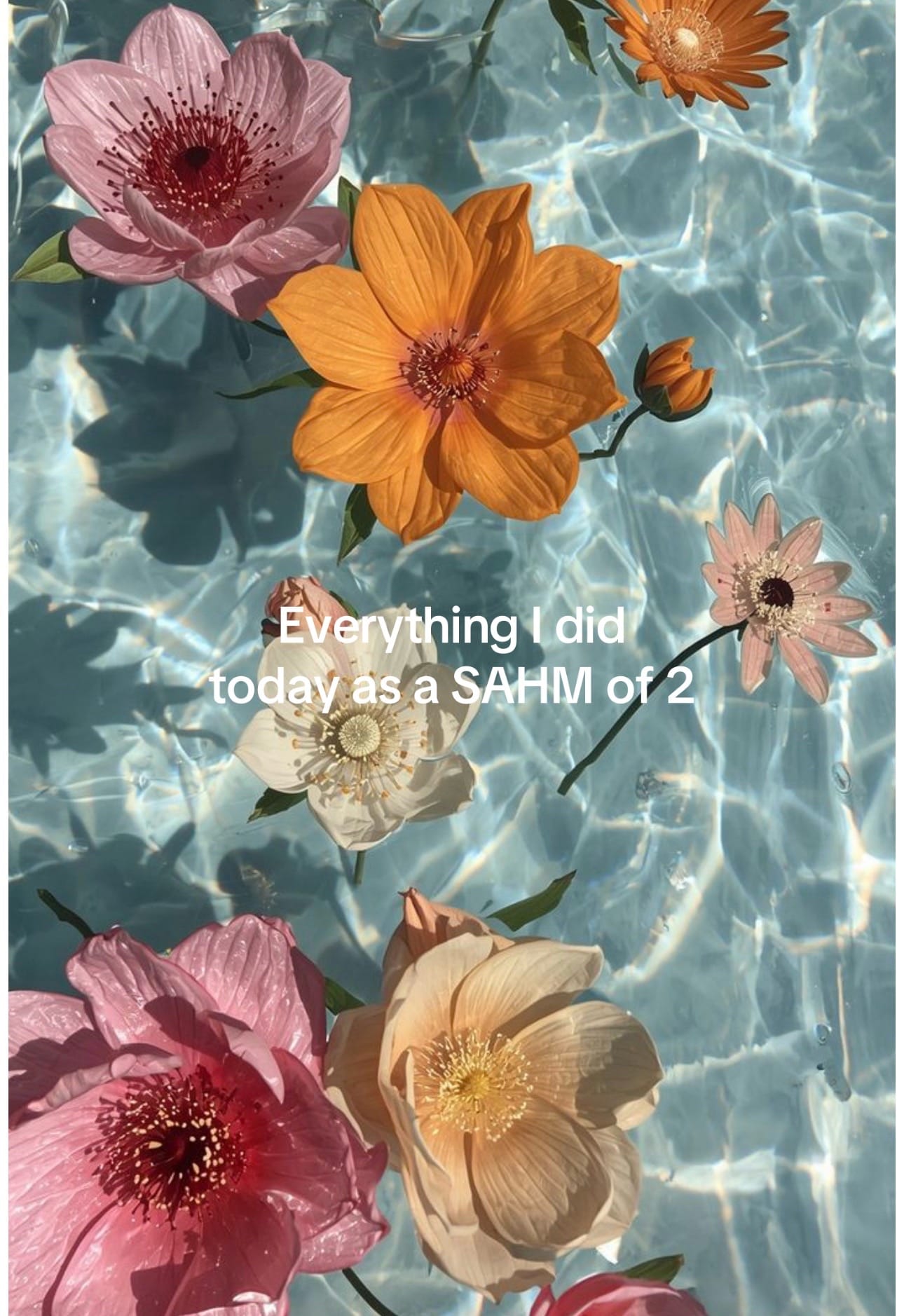 Post 6 by C H E L S on TikTok (video)