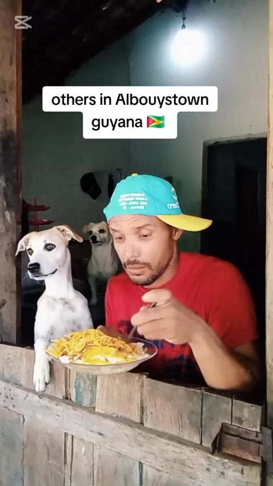 Post 6 by Steve🇬🇾 on TikTok (video)