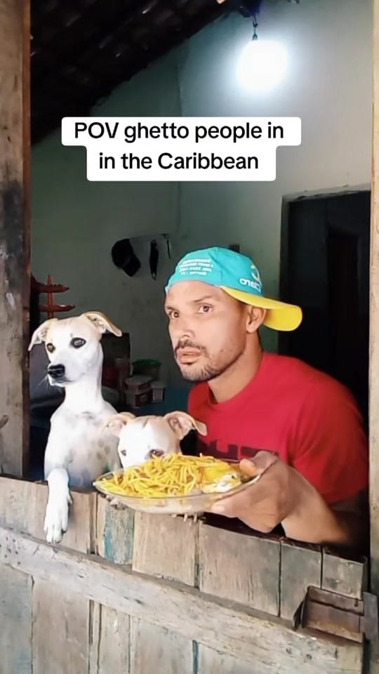 Post 1 by Steve🇬🇾 on TikTok (video)