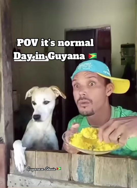 Post 9 by Steve🇬🇾 on TikTok (video)
