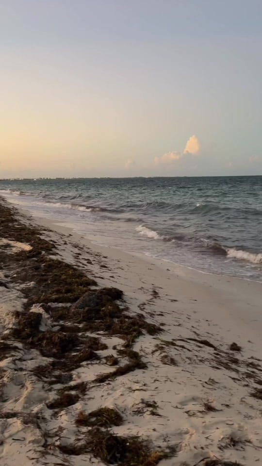 Post 4 by Michelle | Content Creator on TikTok (video)