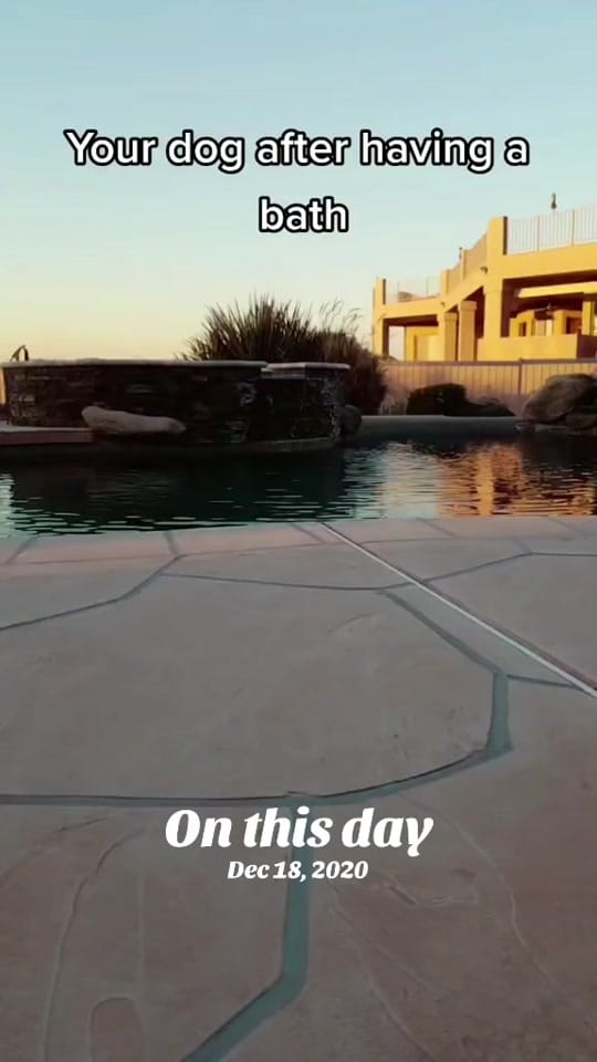 Post 3 by TaylorAnnTracy on TikTok (video)