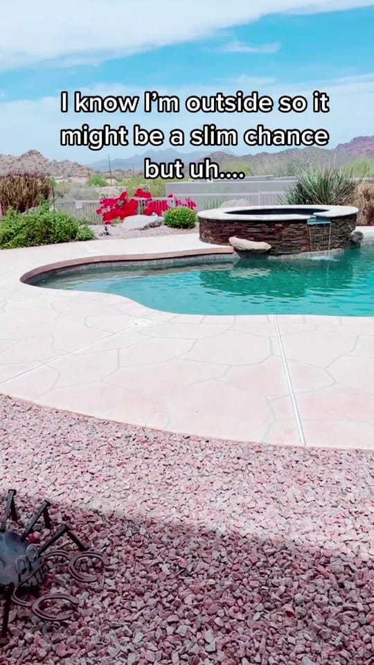 Post 9 by TaylorAnnTracy on TikTok (video)