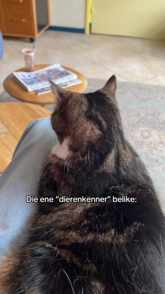 Post 6 by chelsea ❥ on TikTok (video)
