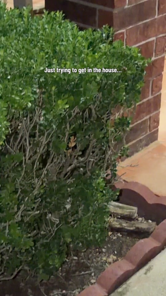 Post 5 by Noah Loyden on TikTok (video)