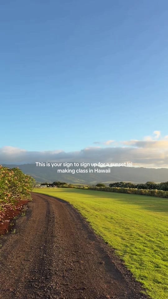 Post 3 by Erin Chau | Toronto Lifestyle on TikTok (video)