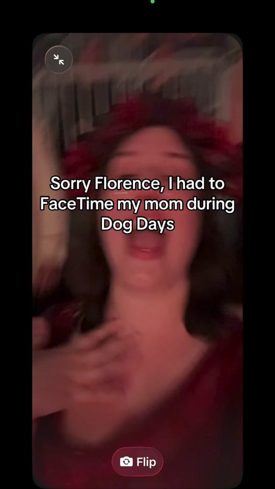 Post 5 by Lady of Lothlorien on TikTok (video)