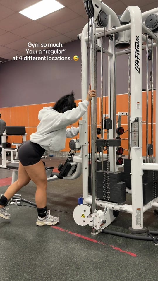 Post 6 by Joy Kobayashi on TikTok (video)