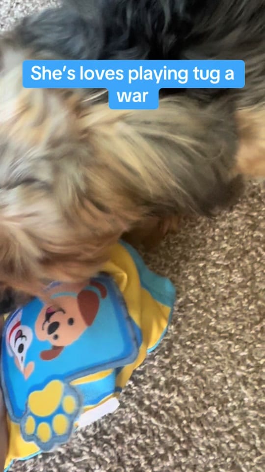 Post 5 by 🌷Chelsea Anne 🌷 on TikTok (video)