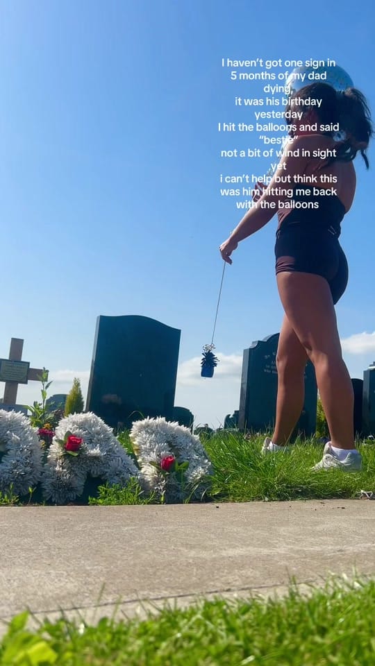Post 2 by chelseamulleen on TikTok (video)