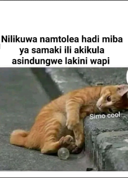 Post 9 by half pint bazenga on TikTok (video)