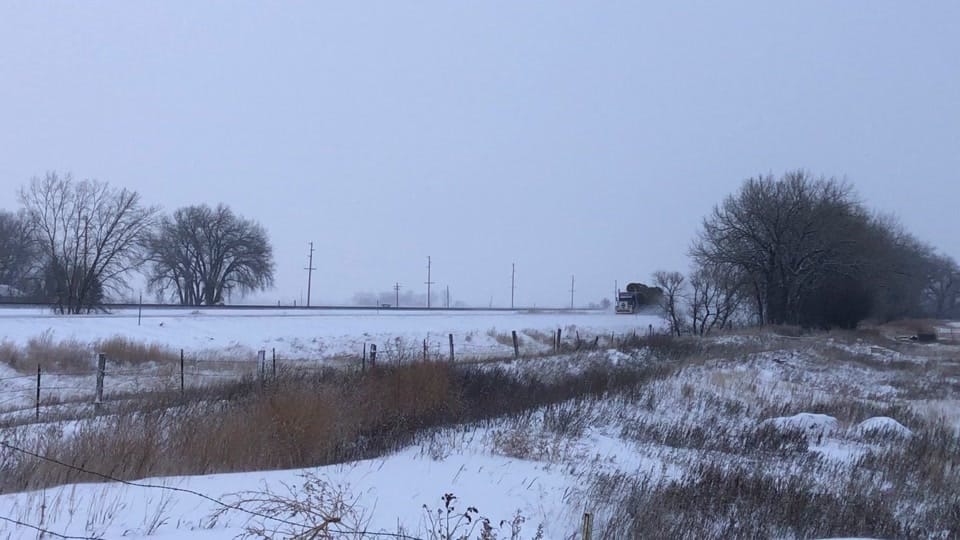Post 5 by Shane Friede on TikTok (video)