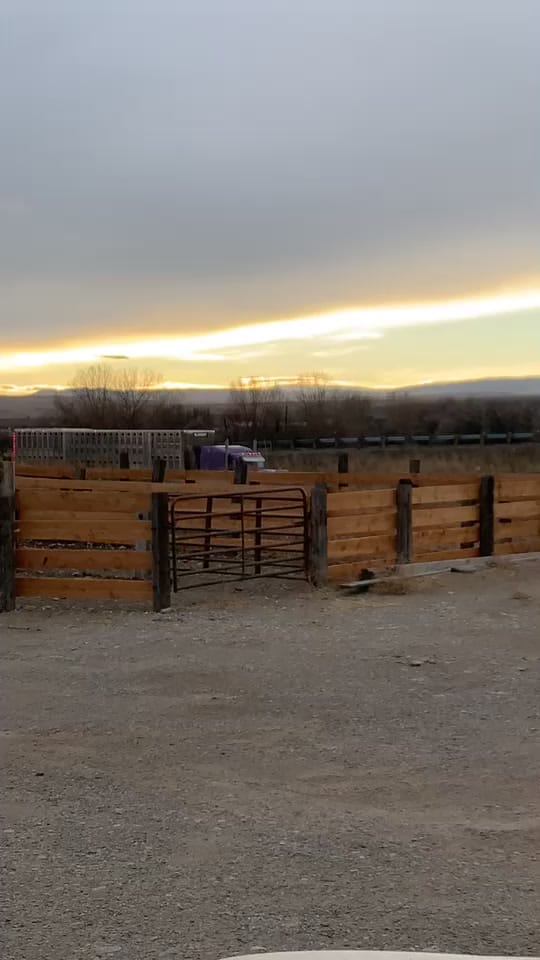 Post 6 by Shane Friede on TikTok (video)