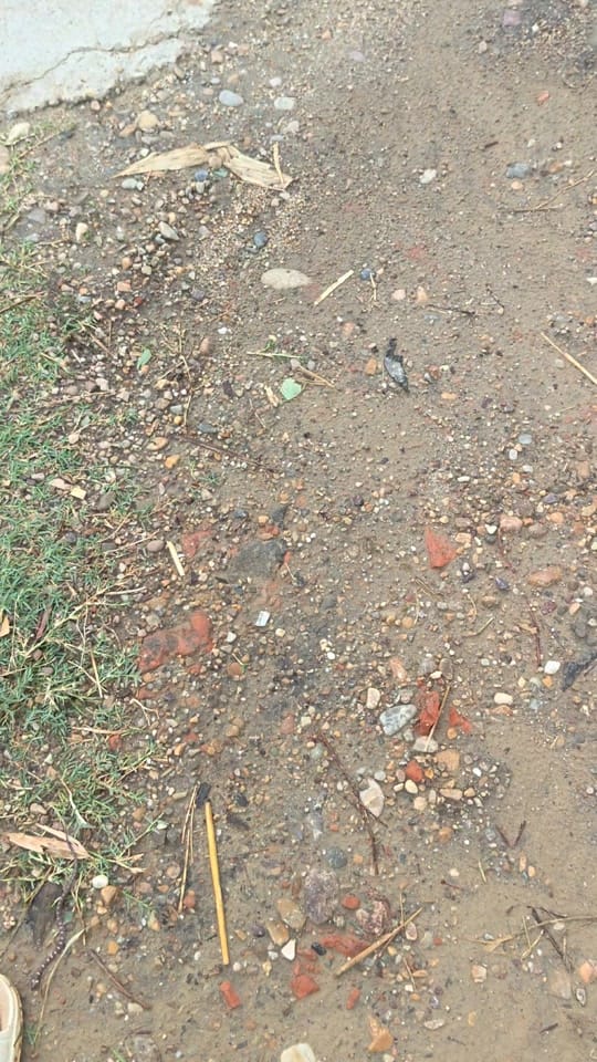 Post 5 by Mahesh  Deva Chaudhary on TikTok (video)