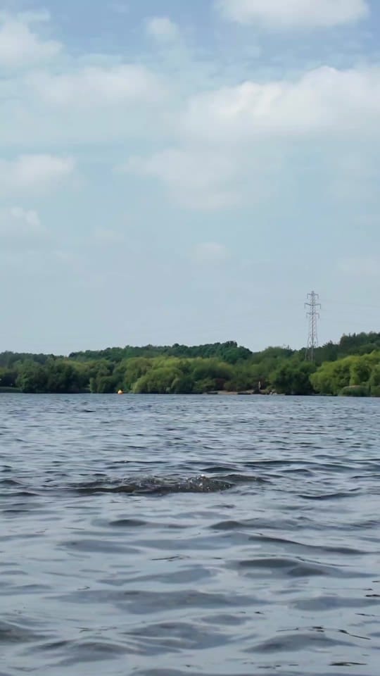 Post 10 by South Yorkshire Fire & Rescue on TikTok (video)