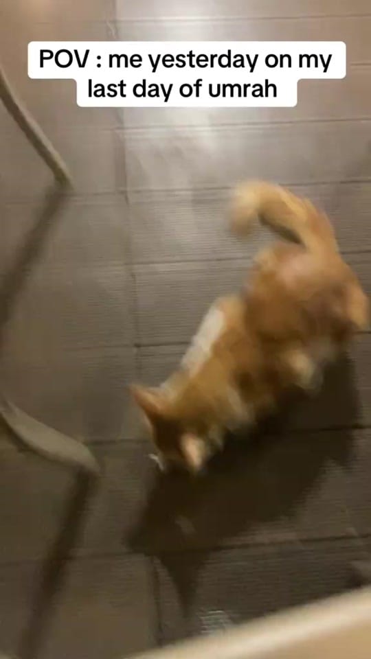 Post 10 by mmhassan_22 on TikTok (video)