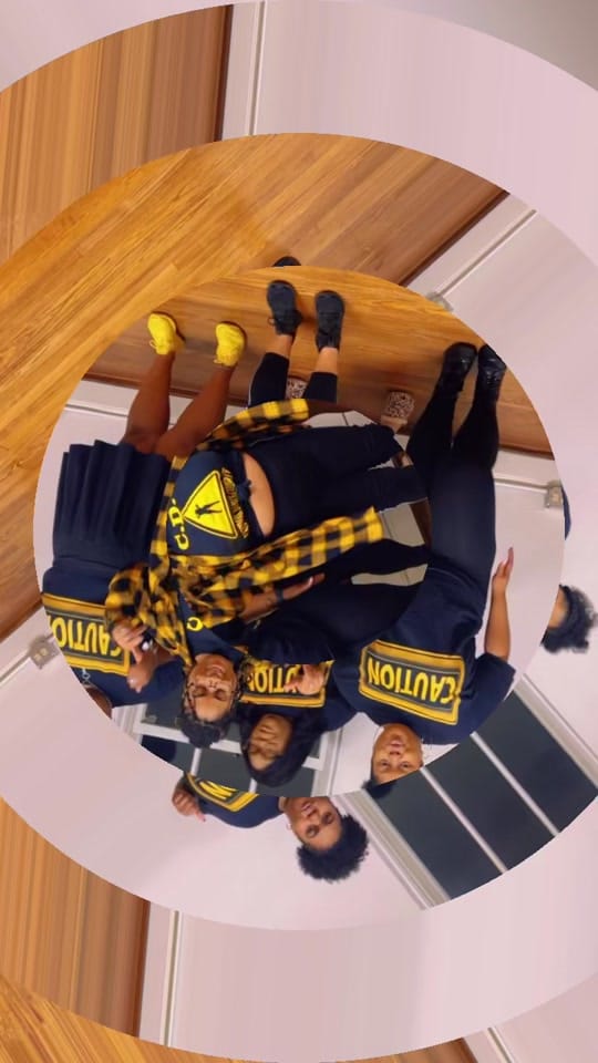 Post 1 by Thick ‘N Fabulous on TikTok (video)