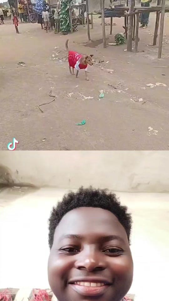 Post 6 by chelsealastborn3 on TikTok (video)