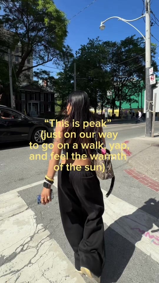 Post 5 by Prin Intes on TikTok (video)
