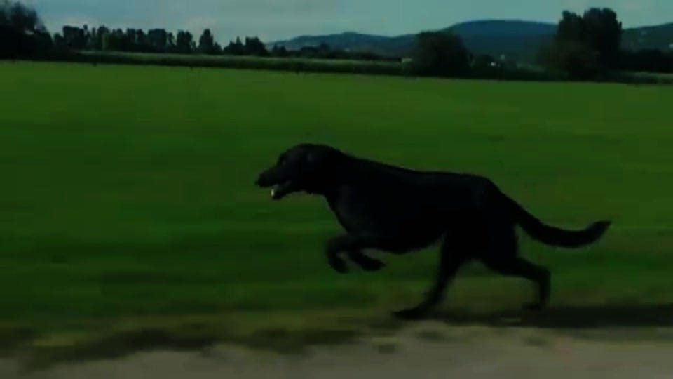 Post 7 by Gbenga Afolayan on TikTok (video)