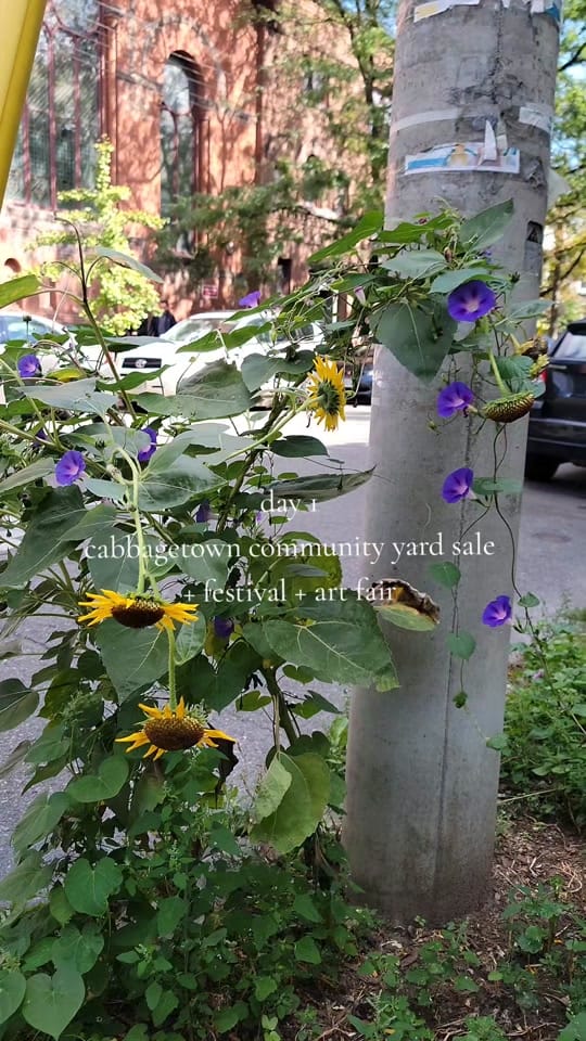Post 6 by JADED on TikTok (video)