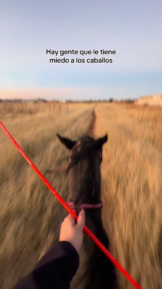 Post 9 by america_zl on TikTok (video)