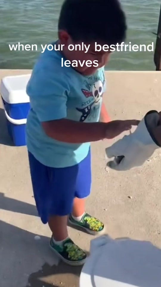 Post 1 by . on TikTok (video)