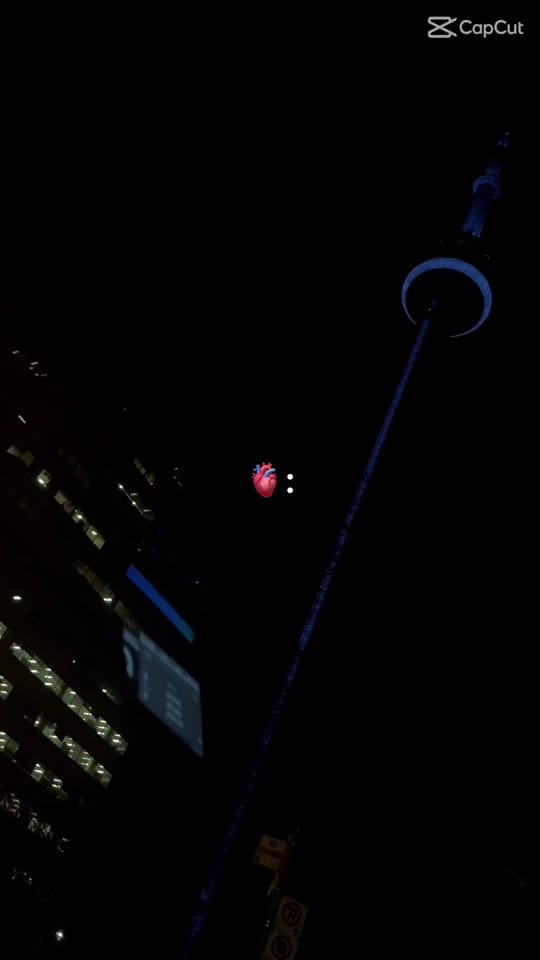 Post 1 by Holly Shaba on TikTok (video)