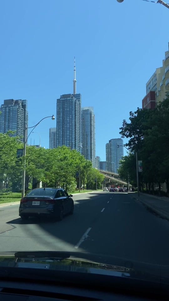 Post 6 by Holly Shaba on TikTok (video)