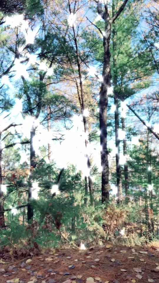 Post 4 by Gabby Kujawa on TikTok (video)