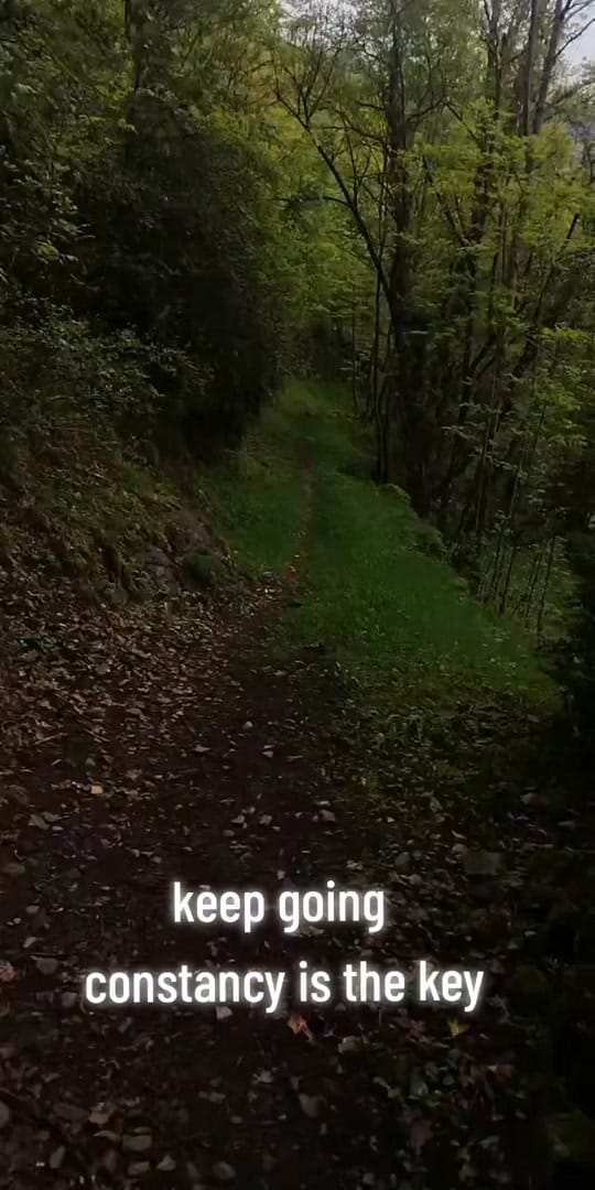 Post 7 by NikoFire on TikTok (video)