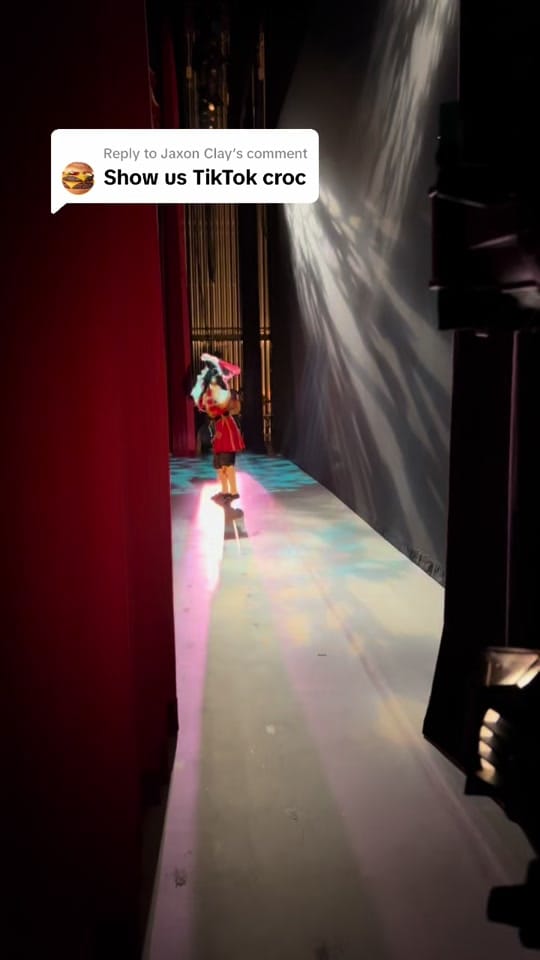 Post 5 by balletexcelohio on TikTok (video)