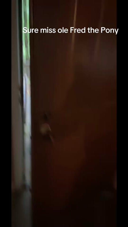 Post 2 by RobbyTiffee on TikTok (video)