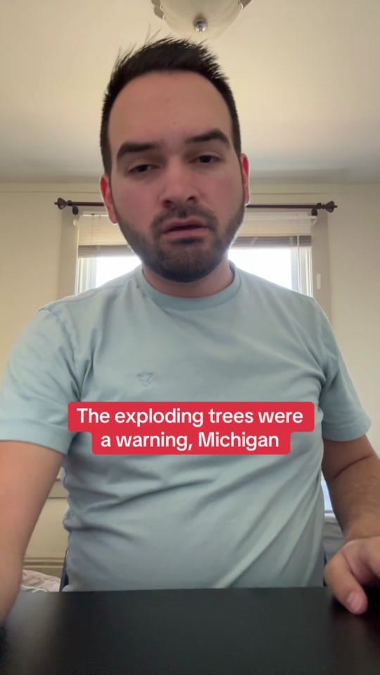 Post 4 by Devin Ramon on TikTok (video)