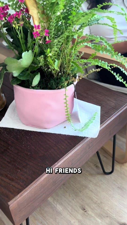Post 9 by Cansu Yazar on TikTok (video)