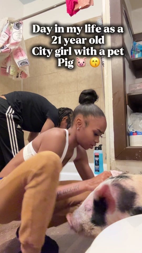 Post 10 by Chicago hairstylist 🎀 on TikTok (video)