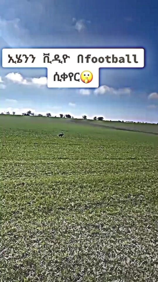 Post 10 by 𝐃𝗮𝘀𝘀𝗲_𝐄𝐝𝐢𝐭💙🔥 on TikTok (video)
