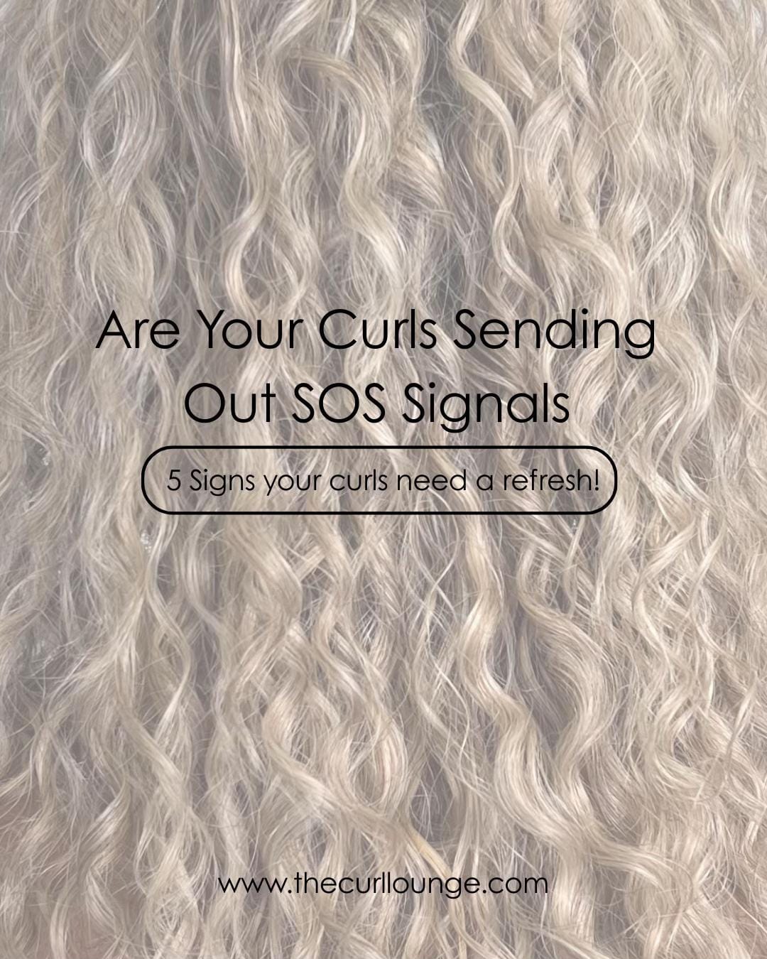 Post 8 by The Curl Lounge on TikTok (video)
