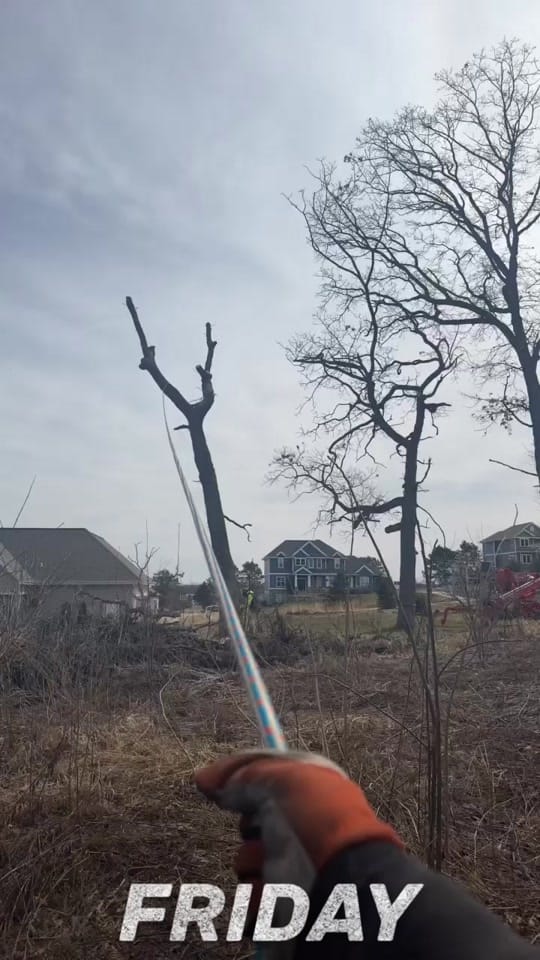 Post 3 by ReidMarsich on TikTok (video)