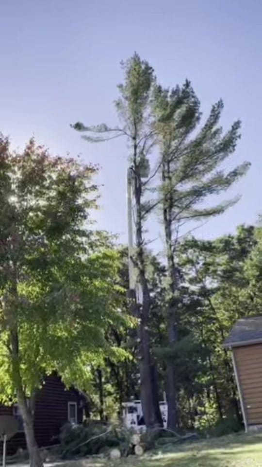 Post 7 by ReidMarsich on TikTok (video)