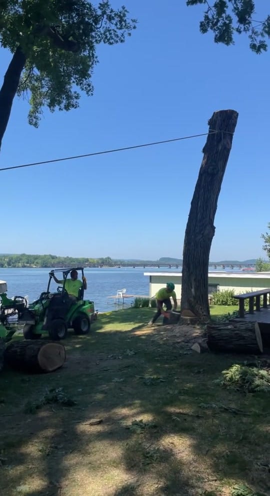 Post 4 by ReidMarsich on TikTok (video)