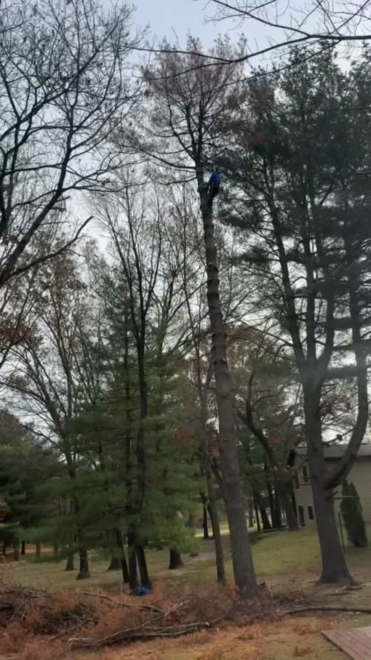 Post 6 by ReidMarsich on TikTok (video)