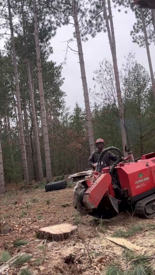 Post 1 by ReidMarsich on TikTok (video)